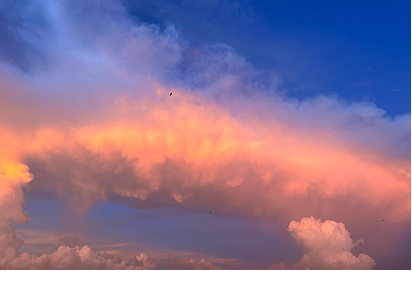 the skies